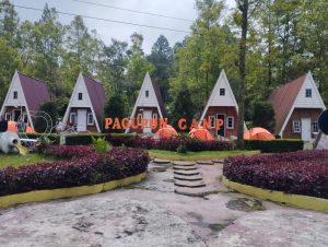 IMG-20230519-WA0008-1