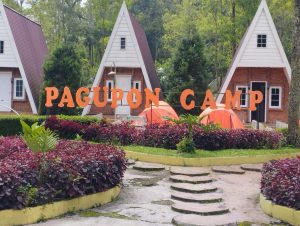 IMG-20230519-WA0011-1